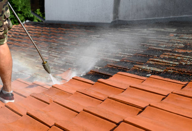 Best Concrete Pressure Washing  in Devola, OH