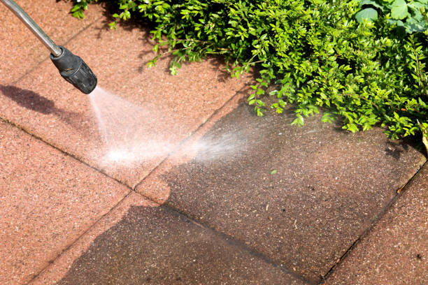 Roof Power Washing Services in Devola, OH